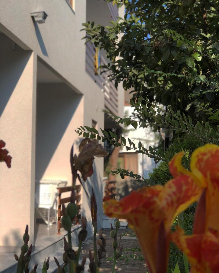 Hotel Athina Velipojë 外观 照片